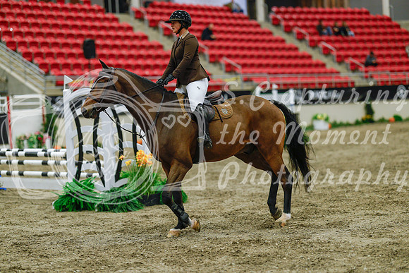 2025 - Haylee - Royal West - Sunday October 19th - 00969