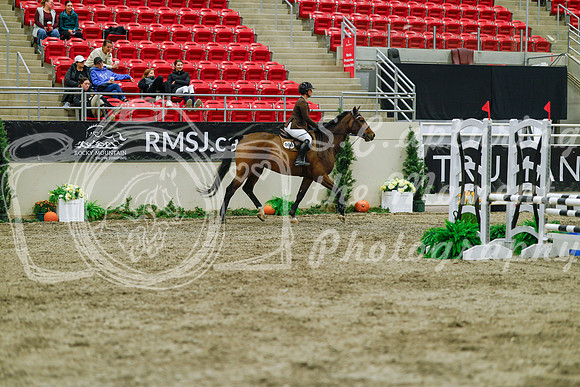 2025 - Haylee - Royal West - Sunday October 19th - 00972