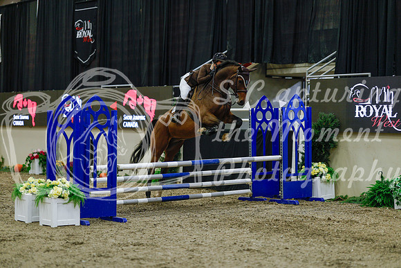 2025 - Haylee - Royal West - Sunday October 19th - 00975