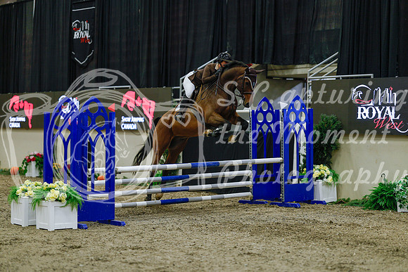 2025 - Haylee - Royal West - Sunday October 19th - 00976