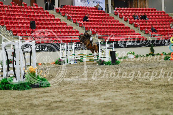 2025 - Haylee - Royal West - Sunday October 19th - 00980