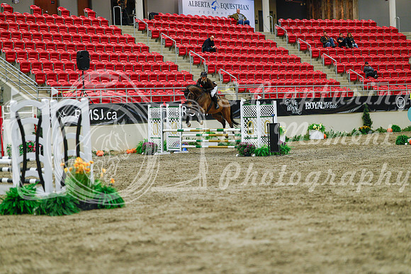 2025 - Haylee - Royal West - Sunday October 19th - 00983