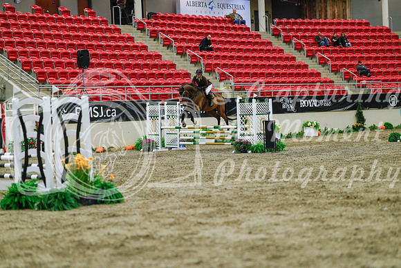 2025 - Haylee - Royal West - Sunday October 19th - 00984