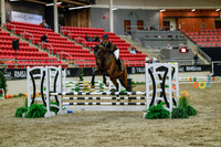 2025 - Haylee - Royal West - Sunday October 19th - 00988