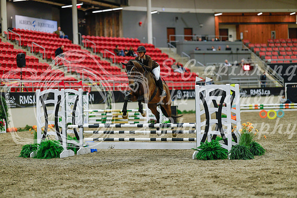 2025 - Haylee - Royal West - Sunday October 19th - 00988