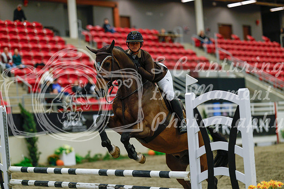 2025 - Haylee - Royal West - Sunday October 19th - 00992