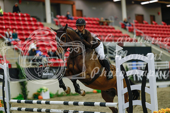 2025 - Haylee - Royal West - Sunday October 19th - 00993