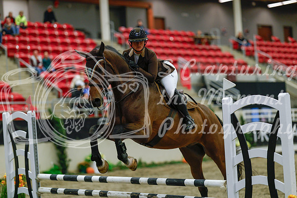 2025 - Haylee - Royal West - Sunday October 19th - 00996