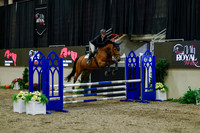 2025 - Haylee - Royal West - Sunday October 19th - 01036