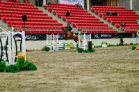 2025 - Haylee - Royal West - Sunday October 19th - 01049