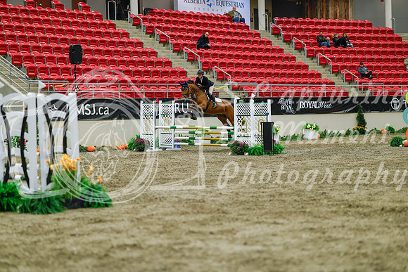 2025 - Haylee - Royal West - Sunday October 19th - 01050