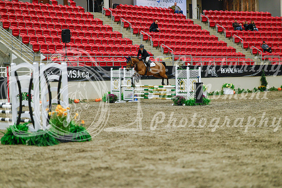2025 - Haylee - Royal West - Sunday October 19th - 01055