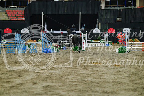 2025 - Haylee - Royal West - Sunday October 19th - 01205