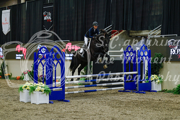 2025 - Haylee - Royal West - Sunday October 19th - 01209