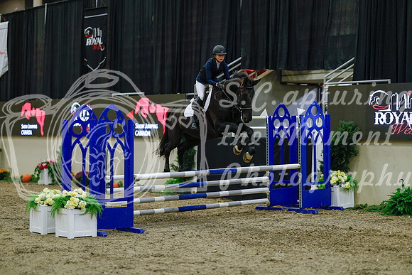2025 - Haylee - Royal West - Sunday October 19th - 01212