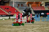 2025 - Haylee - Royal West - Sunday October 19th - 01216