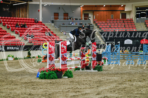 2025 - Haylee - Royal West - Sunday October 19th - 01216