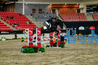2025 - Haylee - Royal West - Sunday October 19th - 01218