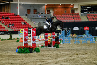 2025 - Haylee - Royal West - Sunday October 19th - 01221