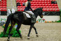2025 - Haylee - Royal West - Sunday October 19th - 00064