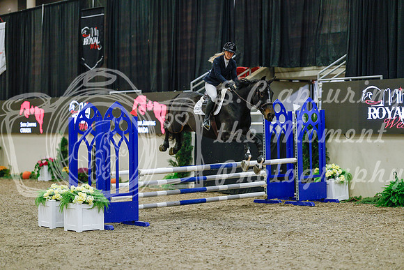 2025 - Haylee - Royal West - Sunday October 19th - 00075