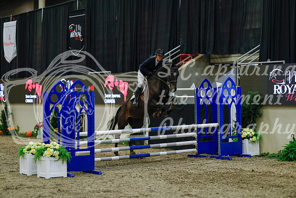 2025 - Haylee - Royal West - Sunday October 19th - 01296