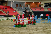 2025 - Haylee - Royal West - Sunday October 19th - 01303
