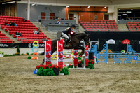 2025 - Haylee - Royal West - Sunday October 19th - 01305