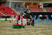 2025 - Haylee - Royal West - Sunday October 19th - 01306
