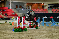 2025 - Haylee - Royal West - Sunday October 19th - 01307