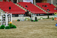 2025 - Haylee - Royal West - Sunday October 19th - 01310