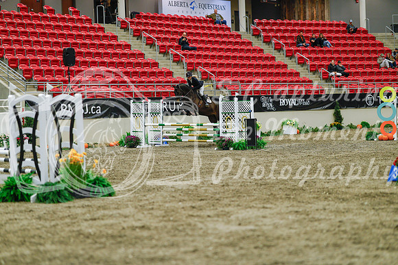 2025 - Haylee - Royal West - Sunday October 19th - 01310