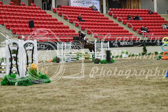 2025 - Haylee - Royal West - Sunday October 19th - 01312
