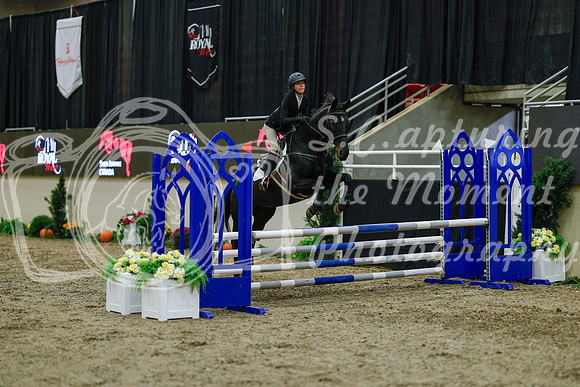 2025 - Haylee - Royal West - Sunday October 19th - 01099