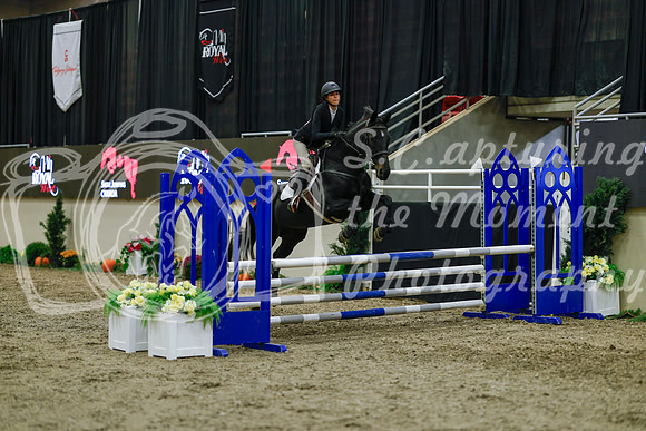2025 - Haylee - Royal West - Sunday October 19th - 01100