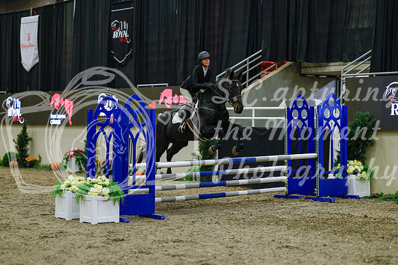 2025 - Haylee - Royal West - Sunday October 19th - 01102