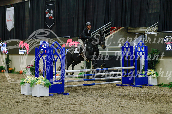 2025 - Haylee - Royal West - Sunday October 19th - 01103