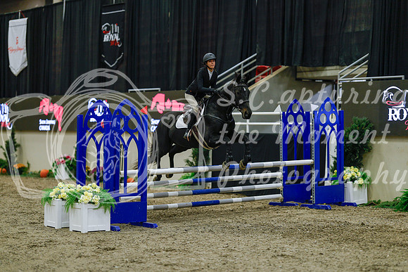 2025 - Haylee - Royal West - Sunday October 19th - 01104