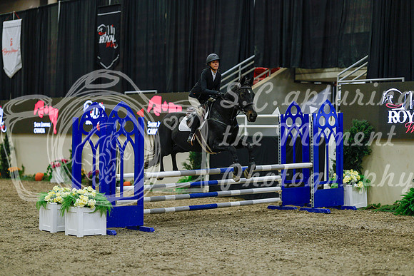 2025 - Haylee - Royal West - Sunday October 19th - 01105
