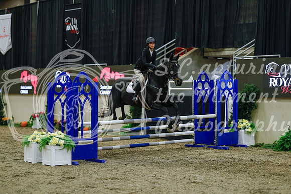 2025 - Haylee - Royal West - Sunday October 19th - 01106