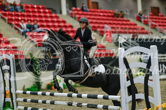 2025 - Haylee - Royal West - Sunday October 19th - 01130