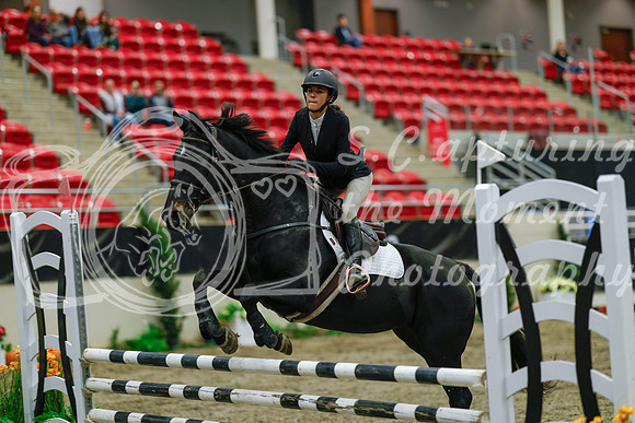 2025 - Haylee - Royal West - Sunday October 19th - 01131