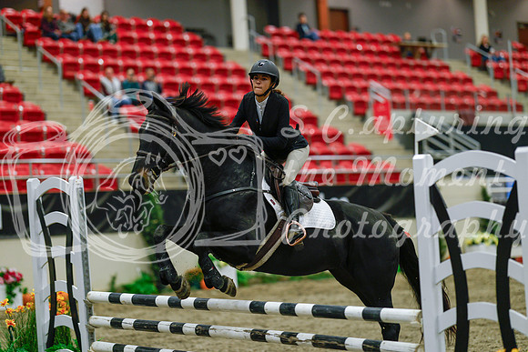 2025 - Haylee - Royal West - Sunday October 19th - 01132