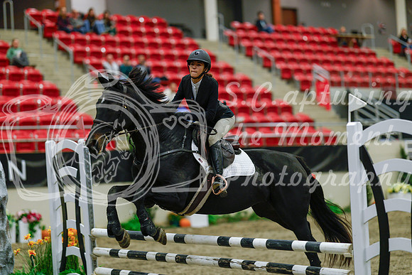 2025 - Haylee - Royal West - Sunday October 19th - 01134