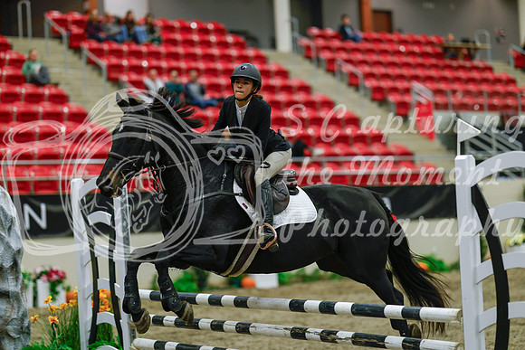 2025 - Haylee - Royal West - Sunday October 19th - 01135