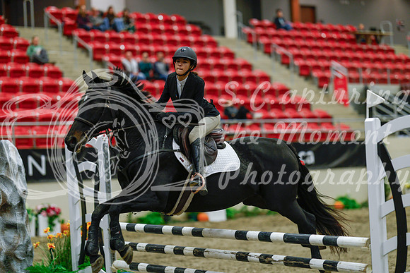 2025 - Haylee - Royal West - Sunday October 19th - 01136