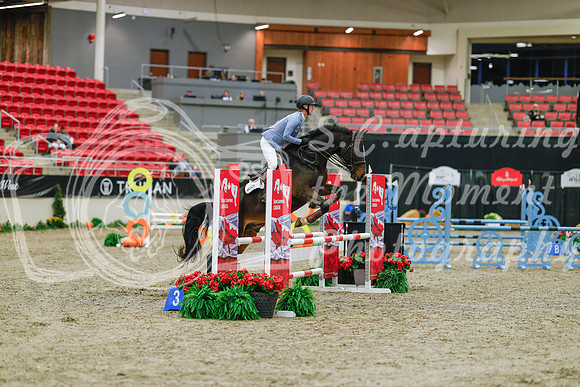2025 - Haylee - Royal West - Sunday October 19th - 00014