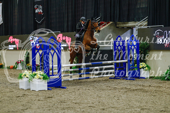 2025 - Haylee - Royal West - Sunday October 19th - 00414