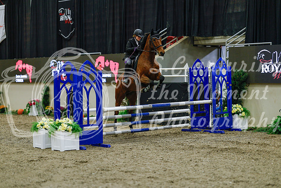 2025 - Haylee - Royal West - Sunday October 19th - 00413