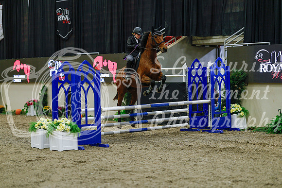 2025 - Haylee - Royal West - Sunday October 19th - 00415